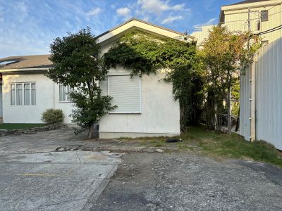 現在の庭の状態