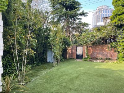 現在の庭の状態