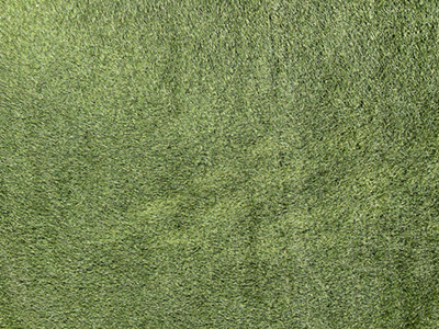 現在の庭の状態