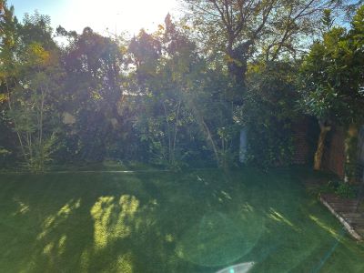 現在の庭の状態