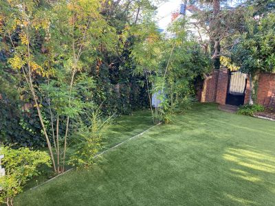 現在の庭の状態