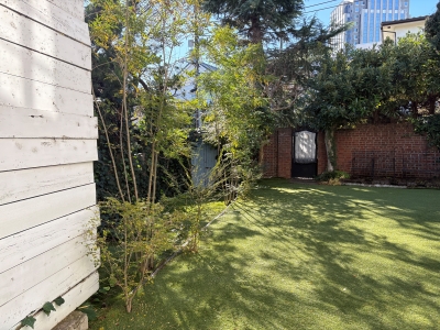 現在の庭の状態