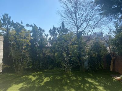 現在の庭の状態