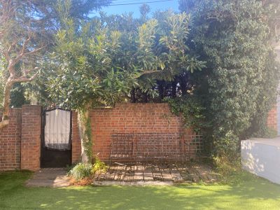 現在の庭の状態