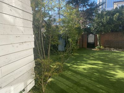 現在の庭の状態