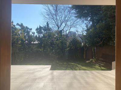 現在の庭の状態