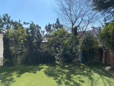 現在の庭の状態