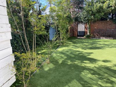 現在の庭の状態