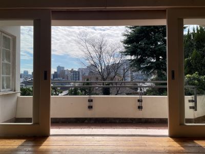 現在の庭の状態