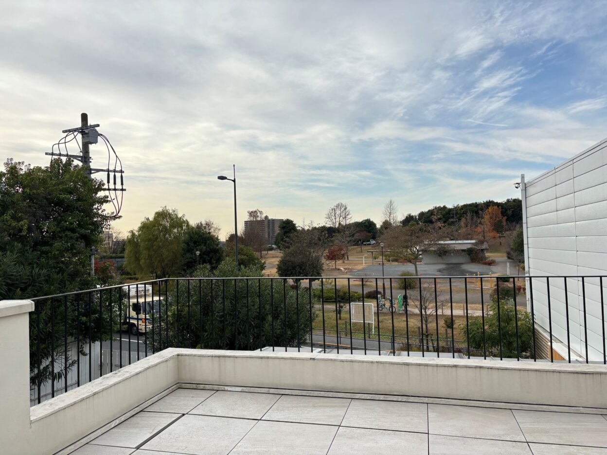 現在の庭の状態