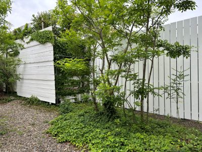 現在の庭の状態