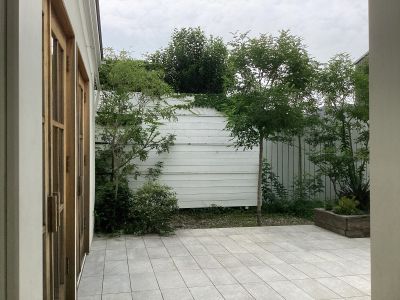 現在の庭の状態