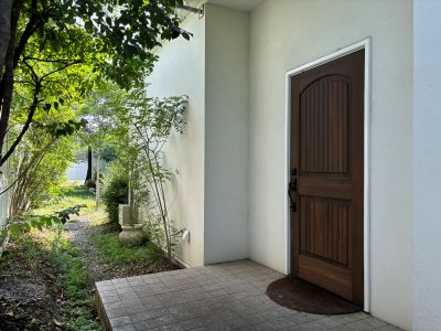 現在の庭の状態