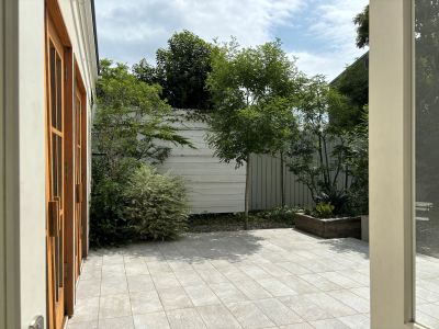 現在の庭の状態