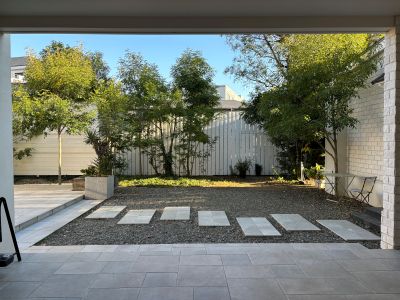 現在の庭の状態