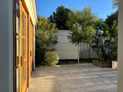 現在の庭の状態