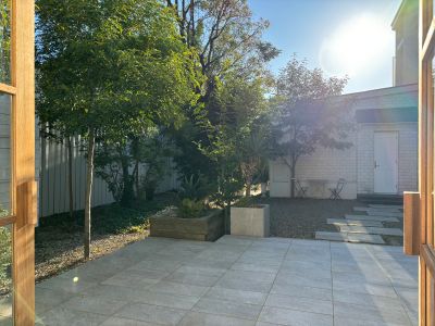 現在の庭の状態