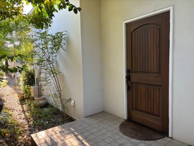 現在の庭の状態