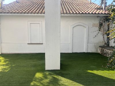 現在の庭の状態