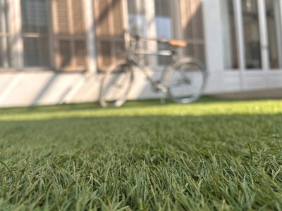 現在の庭の状態