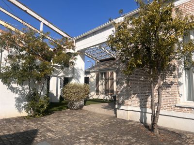 現在の庭の状態