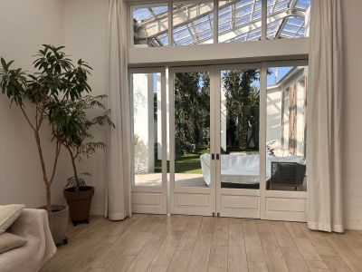 現在の庭の状態