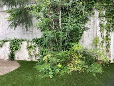 現在の庭の状態