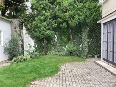 現在の庭の状態