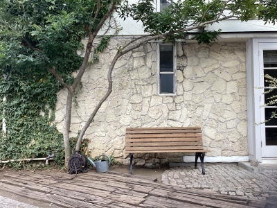 現在の庭の状態