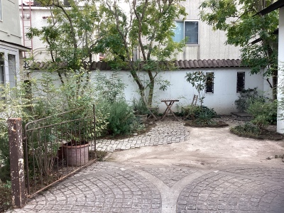 現在の庭の状態