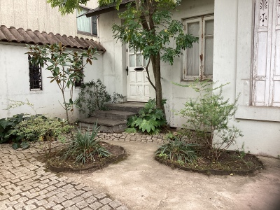 現在の庭の状態