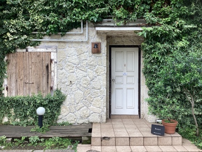 現在の庭の状態