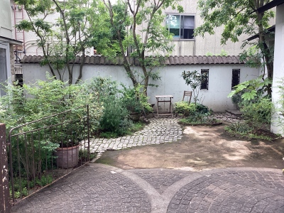 現在の庭の状態