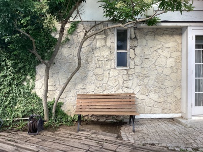 現在の庭の状態