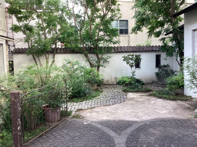 現在の庭の状態