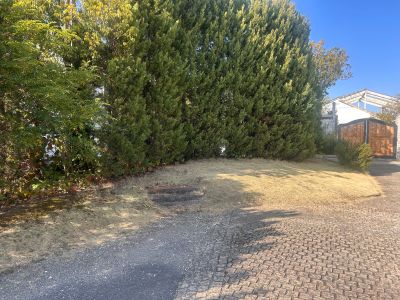 現在の庭の状態