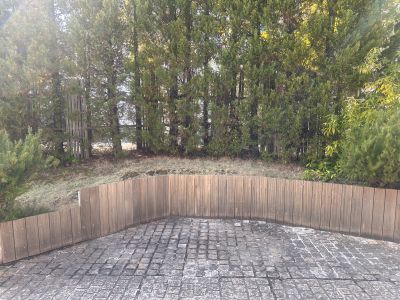 現在の庭の状態