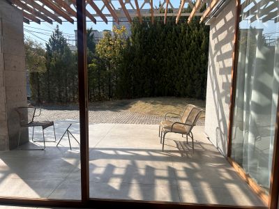 現在の庭の状態