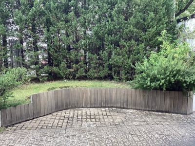 現在の庭の状態