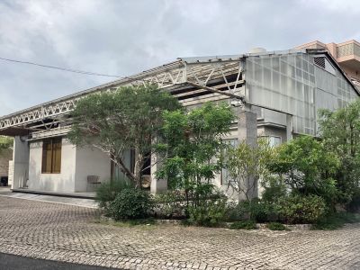 現在の庭の状態