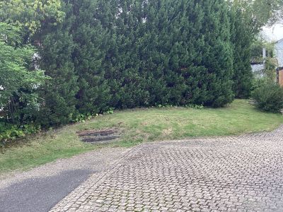 現在の庭の状態