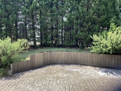 現在の庭の状態