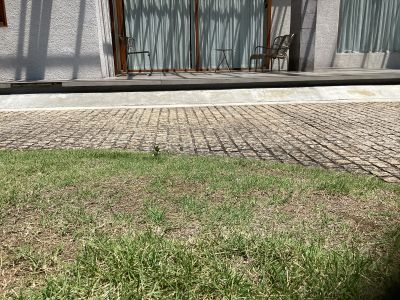 現在の庭の状態