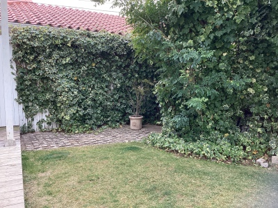 現在の庭の状態