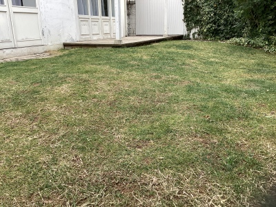 現在の庭の状態