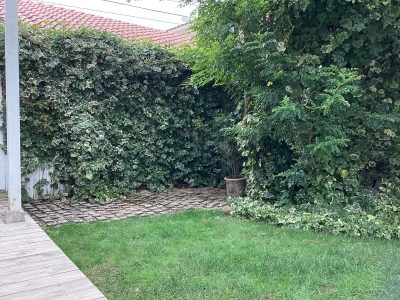 現在の庭の状態