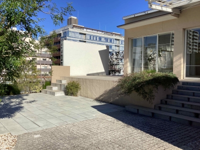 現在の庭の状態