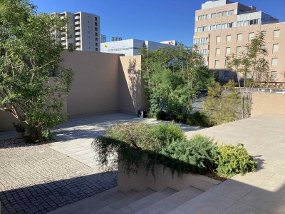 現在の庭の状態