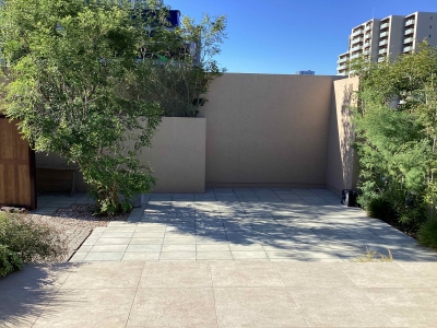 現在の庭の状態