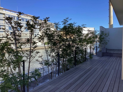 現在の庭の状態